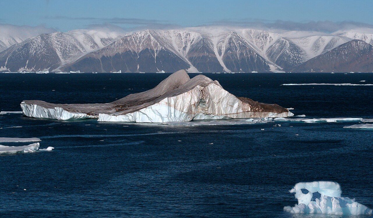 Canada shuts Arctic research station as eider duck population crashes again