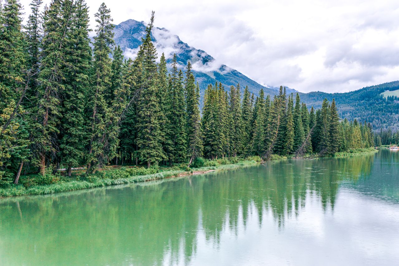 Climate 'realism' normalizes systemic evil, former BlackRock exec warns