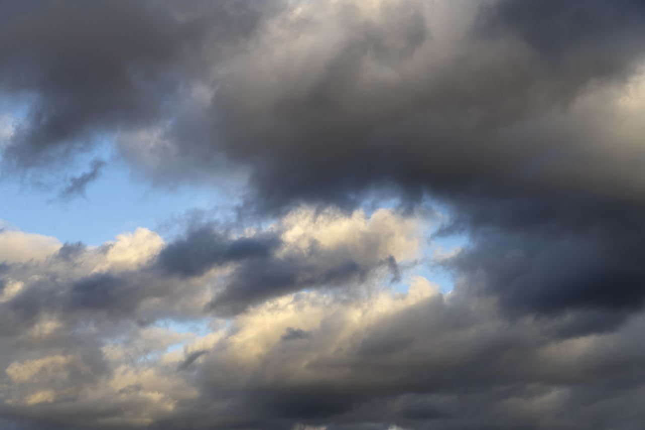 Frost advisory issued for mainland Nova Scotia Saturday night