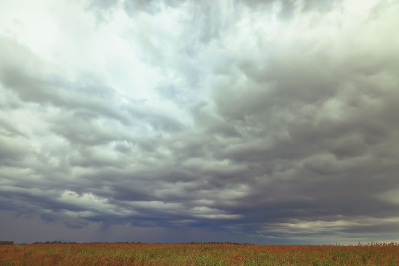 Heavy rain and wind to hit B.C. coast overnight, Environment Canada warns