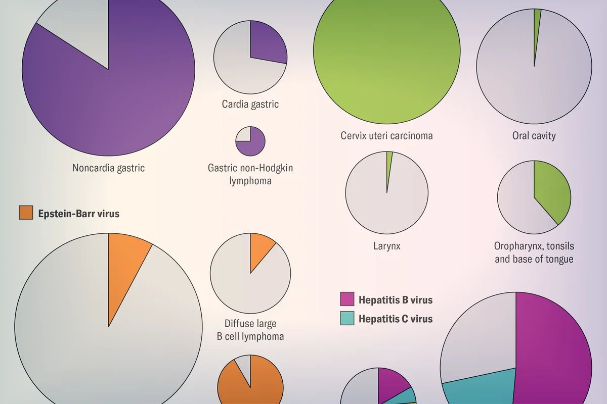 Infections caused one in eight global cancer cases in 2024, study finds