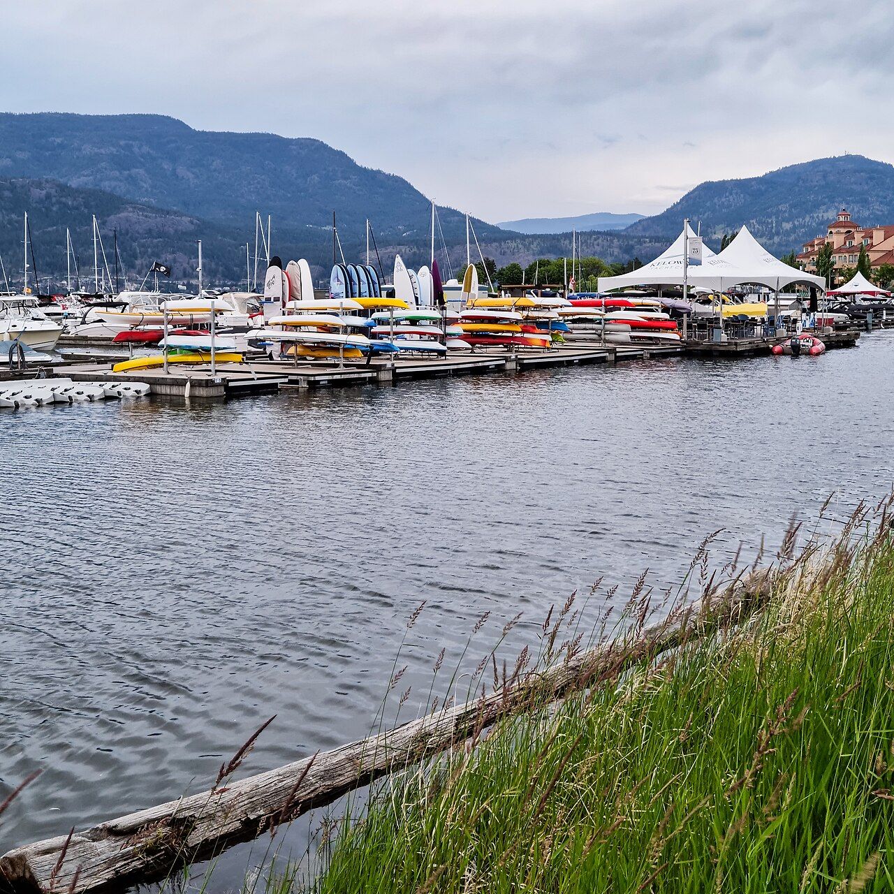 Kelowna council candidate Davis Kyle outlines platform for 2026 election