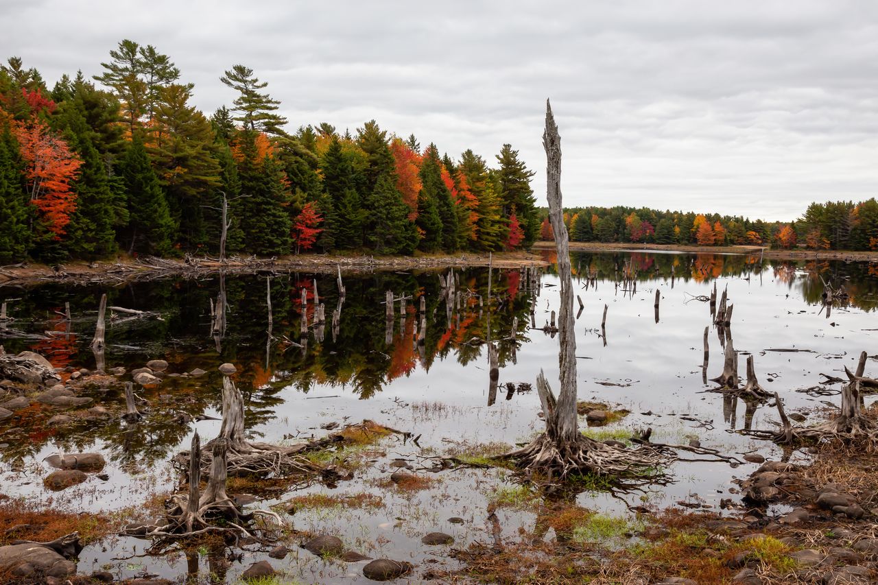 LNG Canada greenlights $33 billion expansion despite ongoing flaring issues