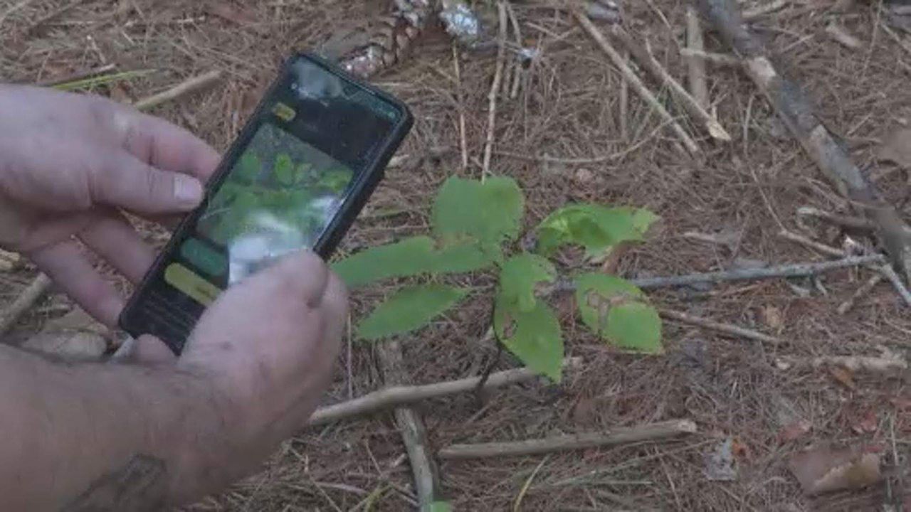 New app WildQuest turns wildlife photography into competitive game for citizen scientists