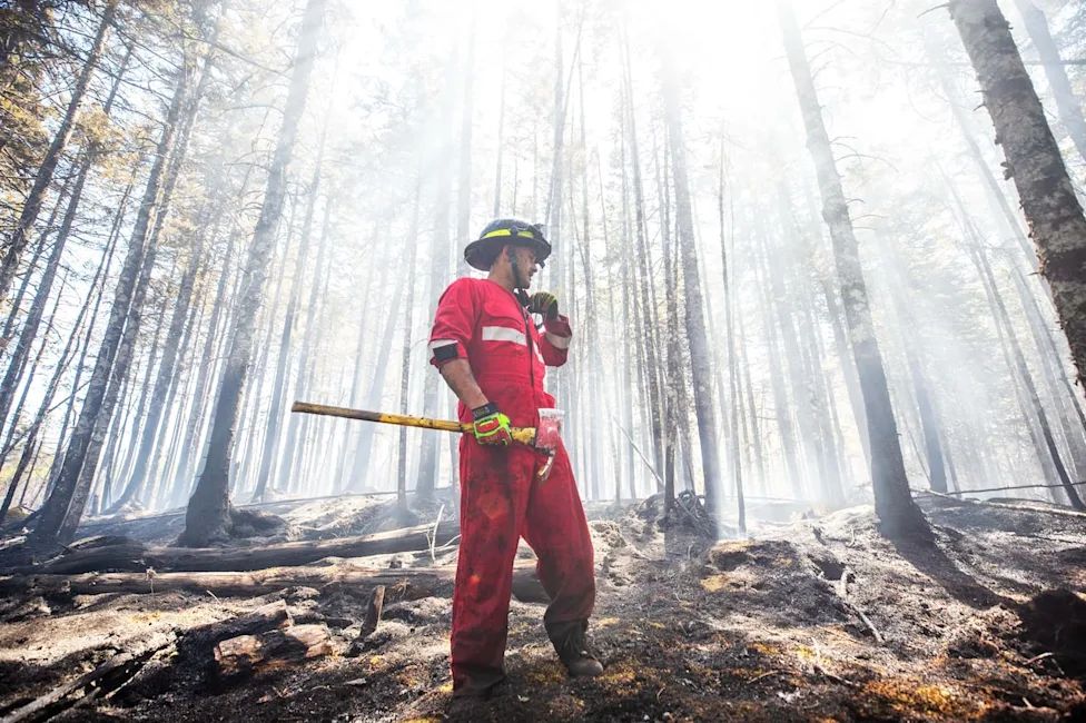 Nova Scotia Health pulls wildfire report after minister says she had 'no idea'
