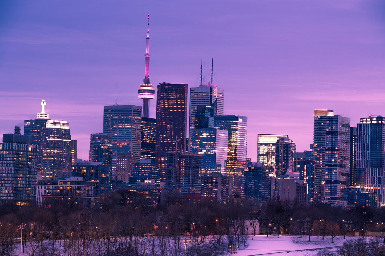 Rabid skunk bites people in downtown Vancouver, health officials say