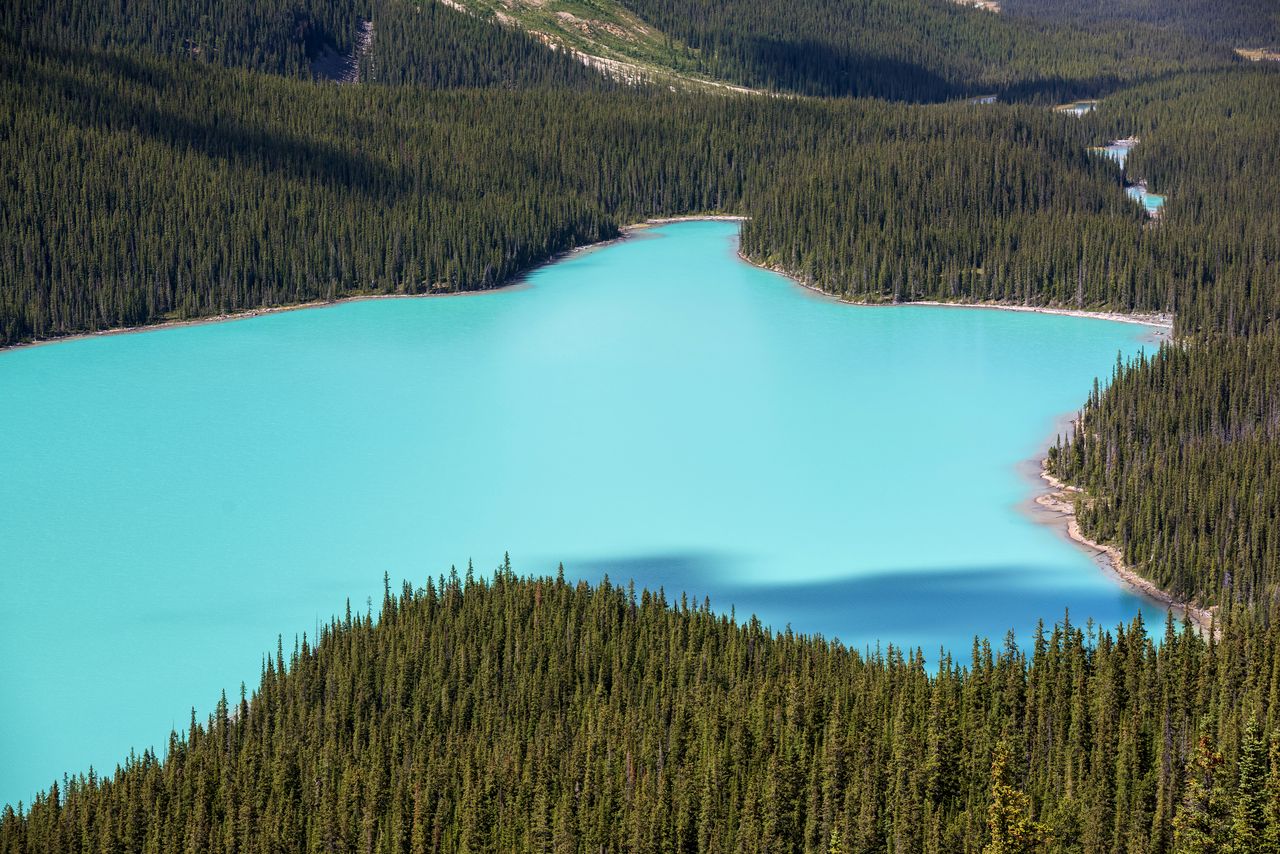 Seniors group urges Carney government to reject West Coast oil pipeline