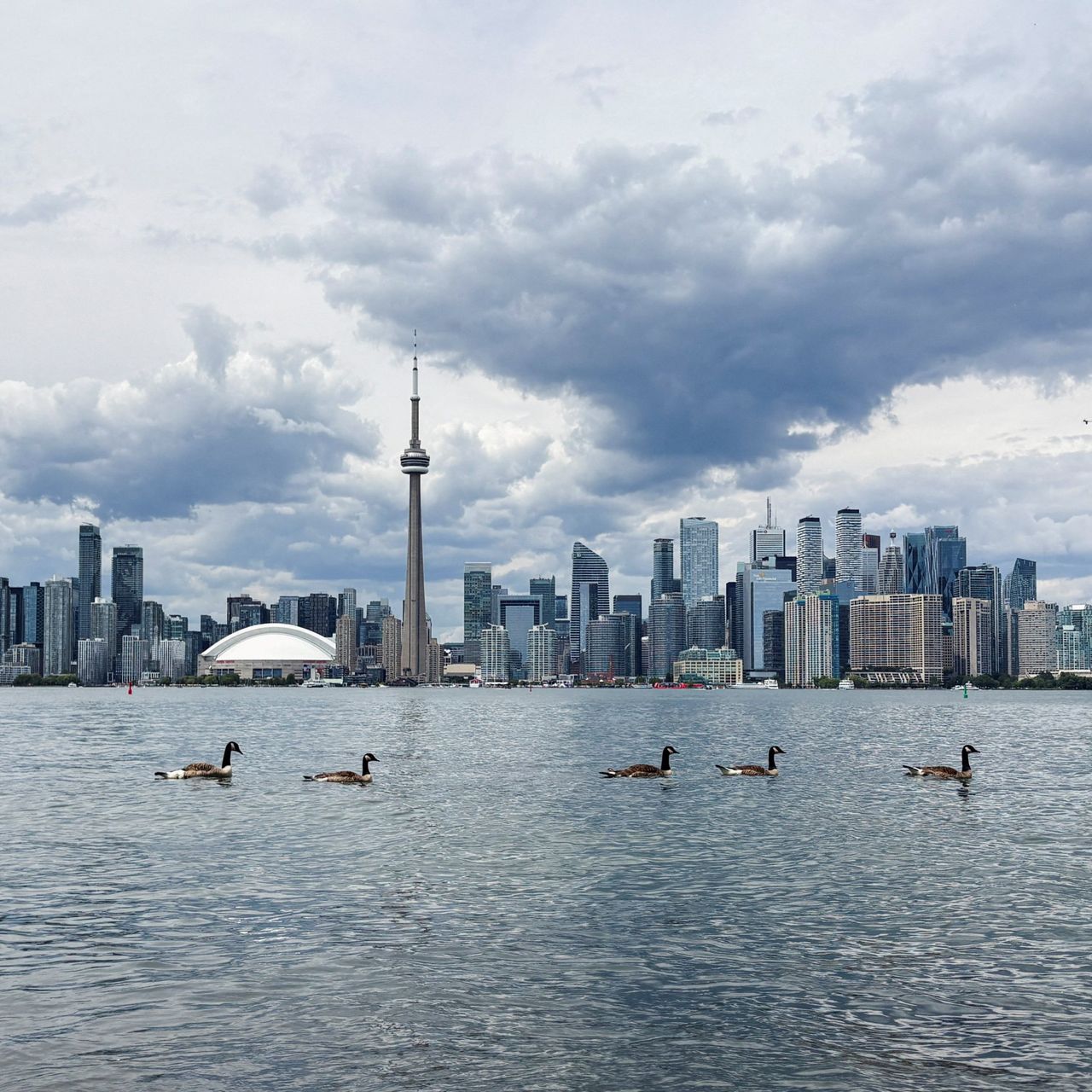 TIFF 2026 Opens Amid U.S.-Canada Trade Tensions, Lake Ontario Renaming Controversy