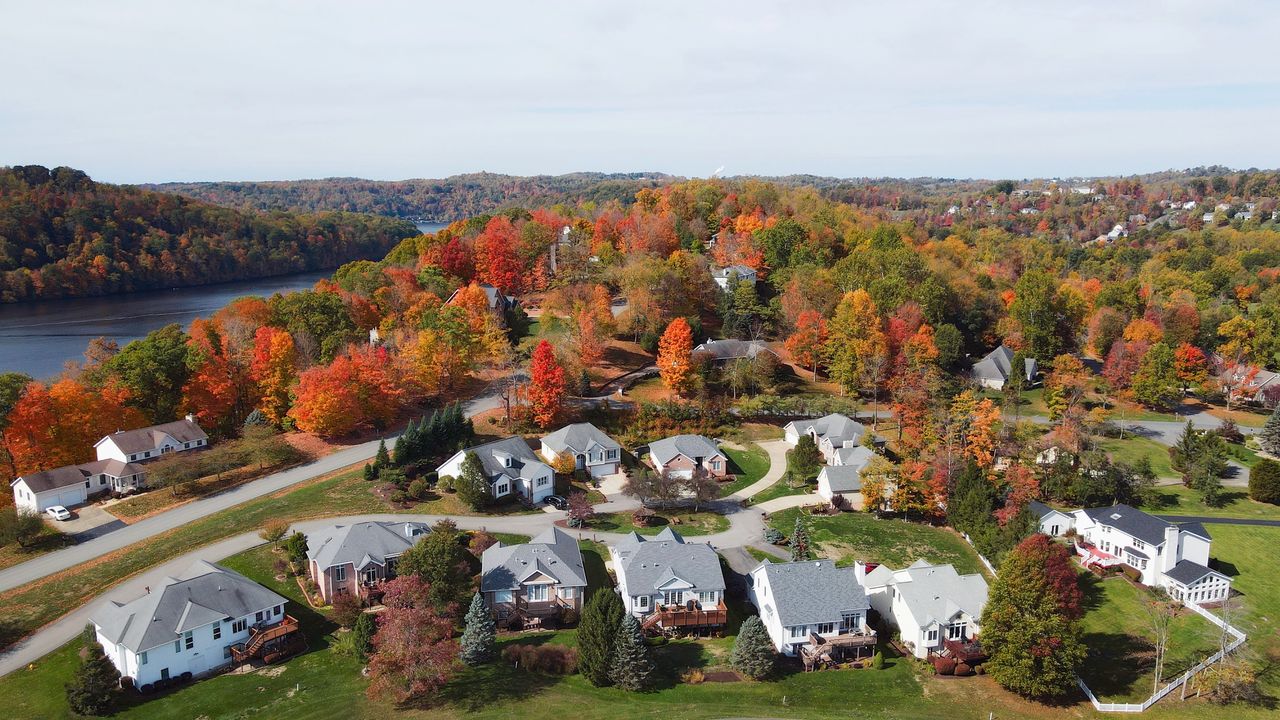 Ward 15 candidates cite growth, affordability as top issues ahead of Hamilton election