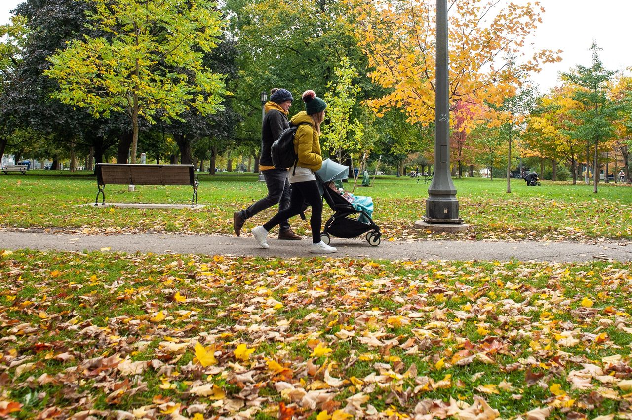 Warmer, drier fall expected across most of Canada with potential long-term impacts