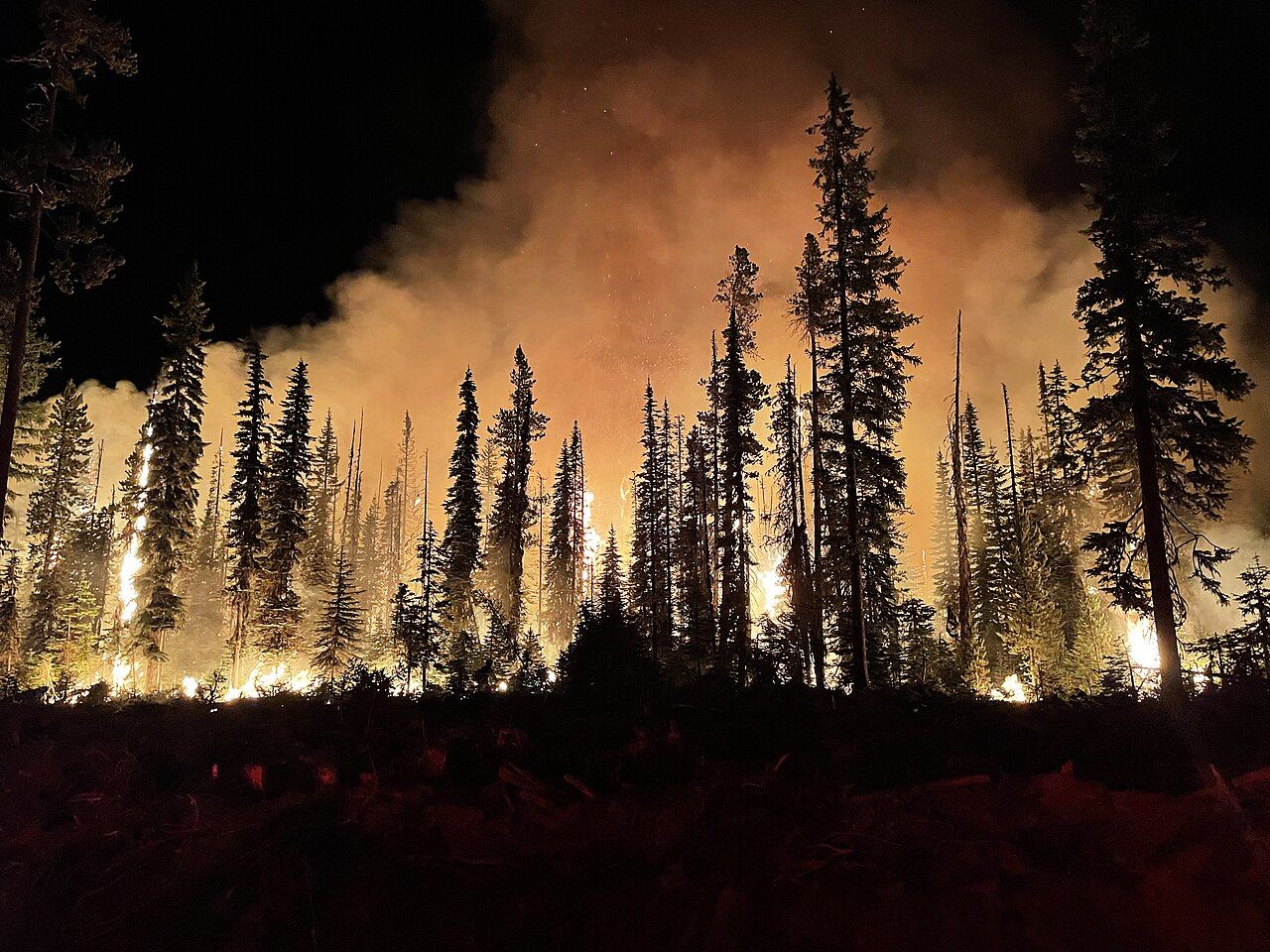 Wildfire smoke deaths in Canada surge 275 percent since early 2000s, report finds