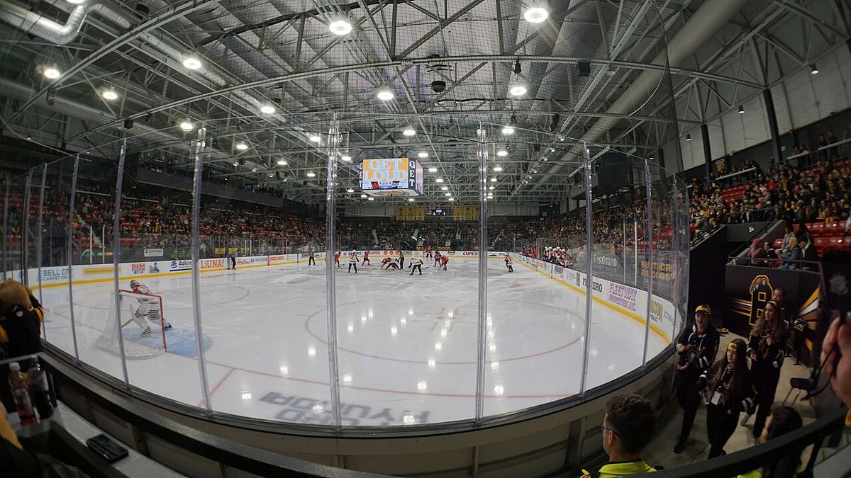 The Brantford Bulldogs playing the Oshawa Generals on November 22, 2024. The Bulldogs wore jerseys that paid homage to the Brantford Alexand