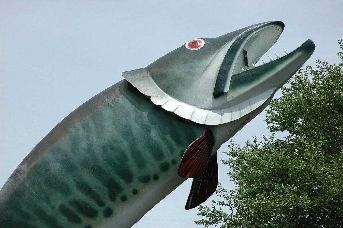 „Husky the Muskie“, mascot of Kenora, Ontario.