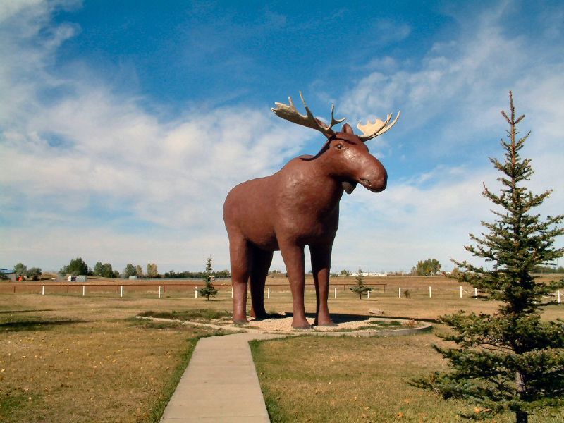 Mac the Moose stands on the edge of Moose Jaw, Saskatchewan.