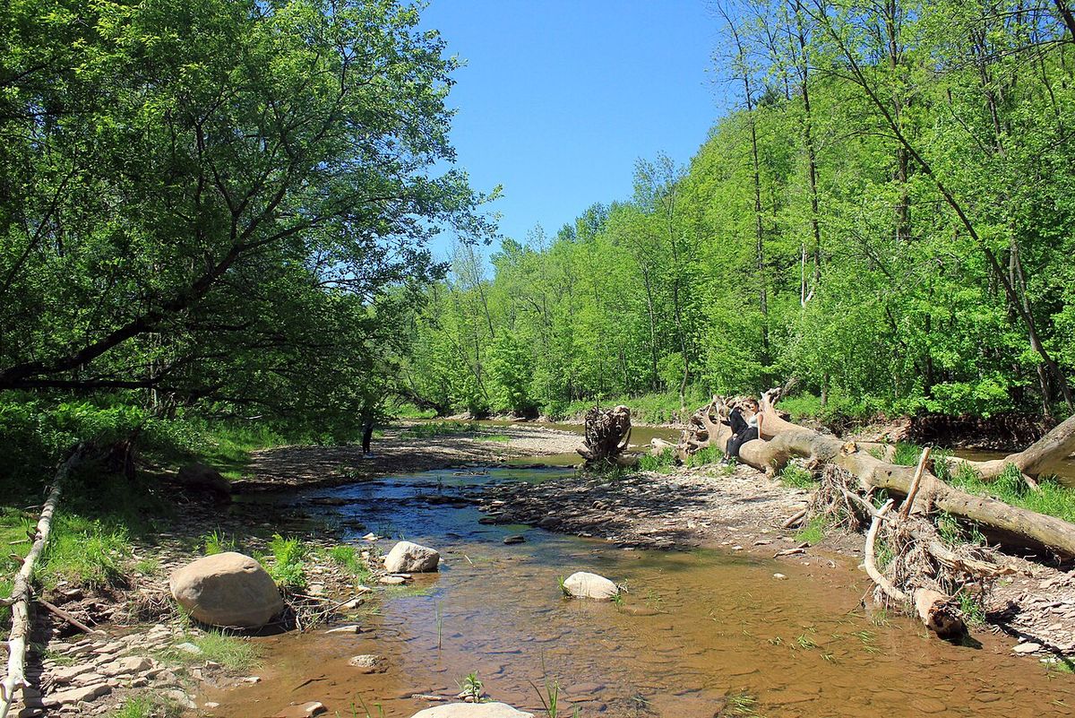 Bronte Creek Provincial Park is a fairly large park near Oakville, Ontario. Named for the 12-mile creek that flows through the park into Lak