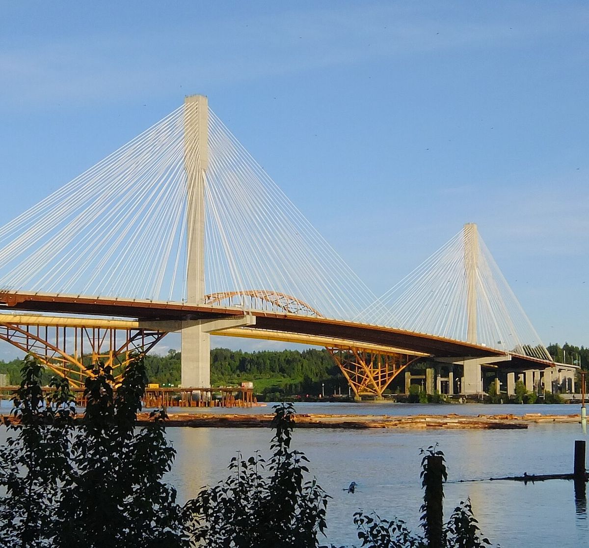Port Mann Bridge