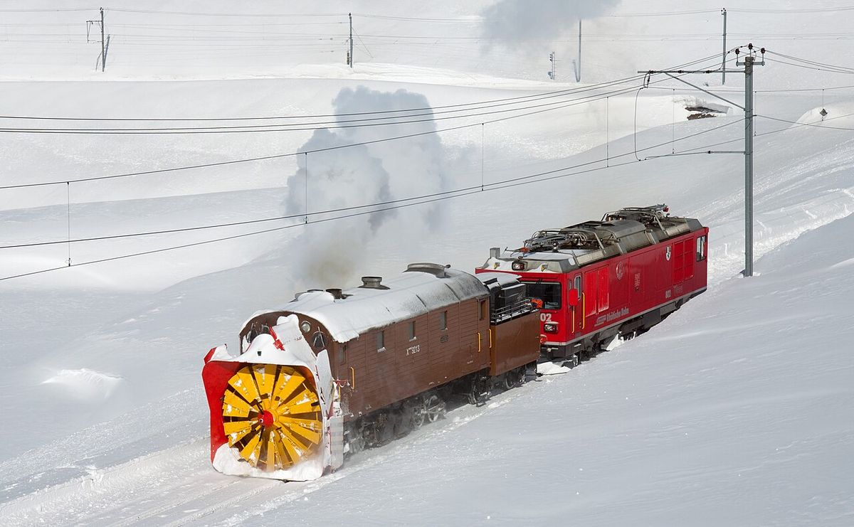 Rotary snowplow