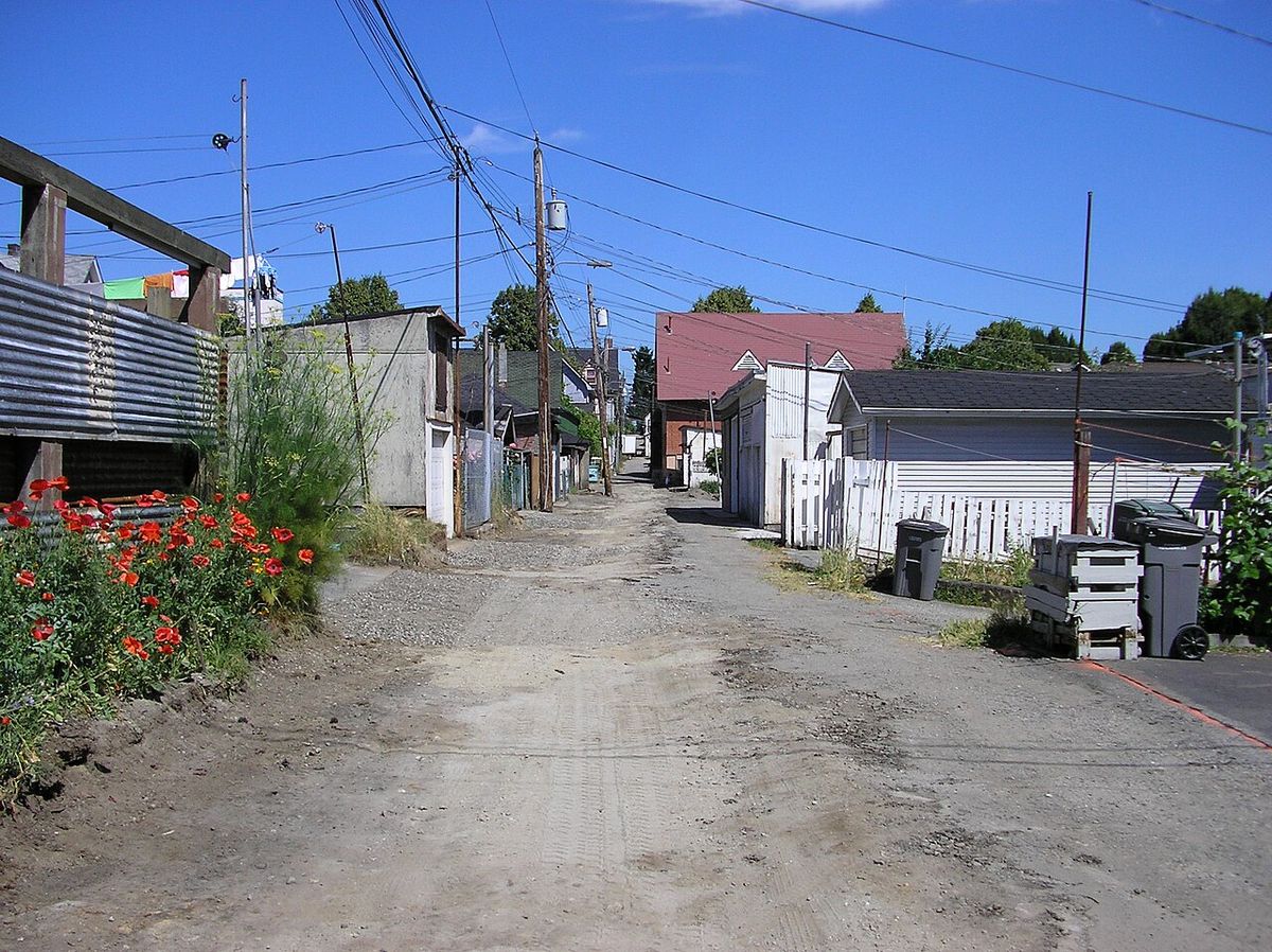 This is a photo of Hogan's Alley in Vancouver. For the first six decades of the 20th century, Hogan's Alley was a multi-ethnic area with a l