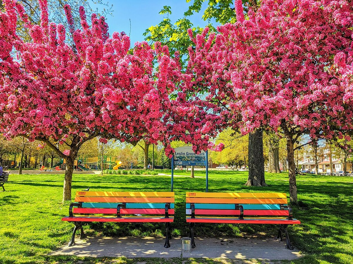 Leslieville's iconic multi-colour benches