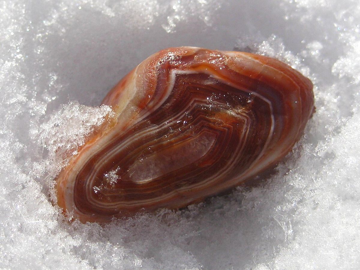 Agate Photo that I took of one of my agates.