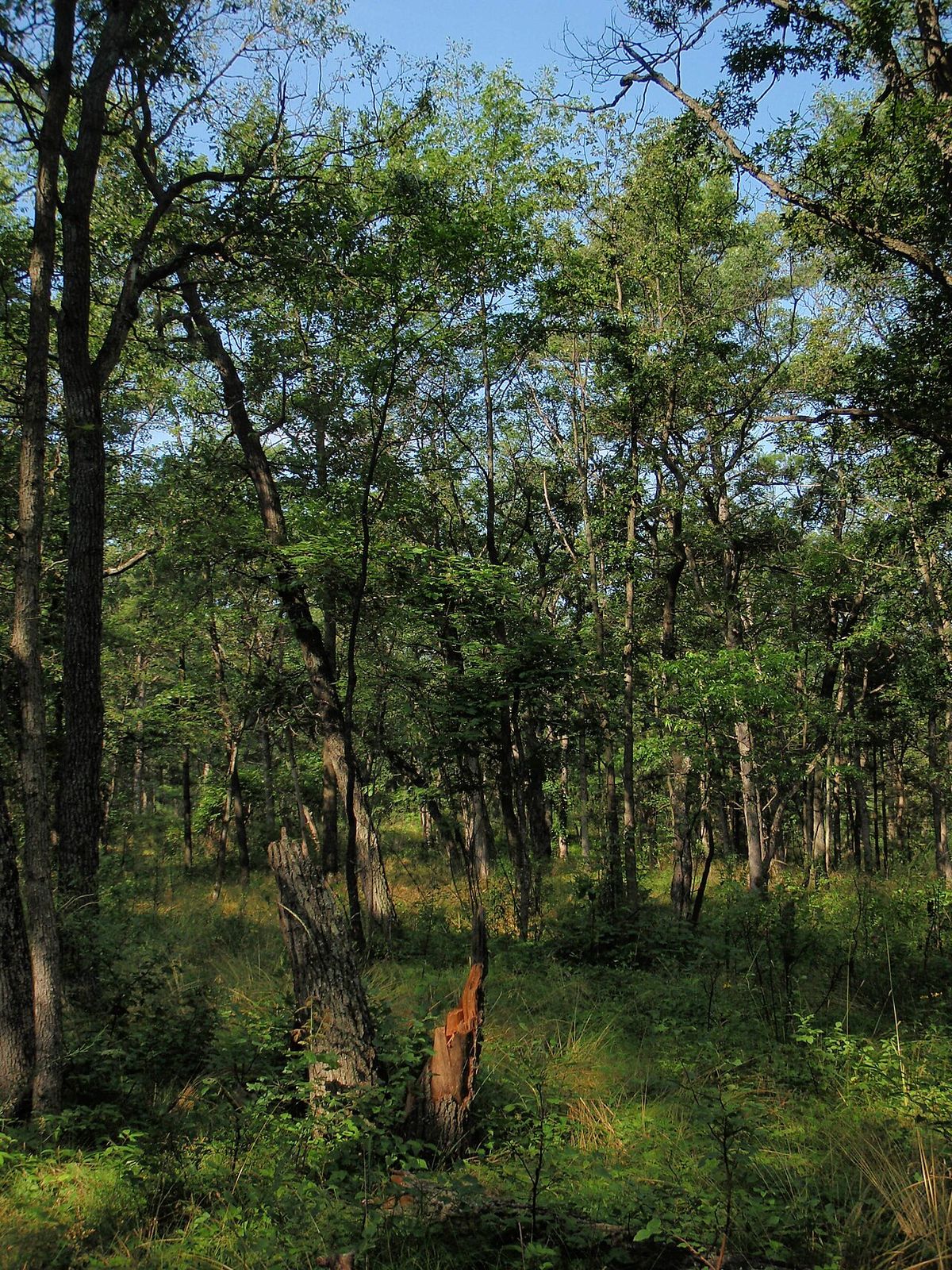 Pinery Provincial Park