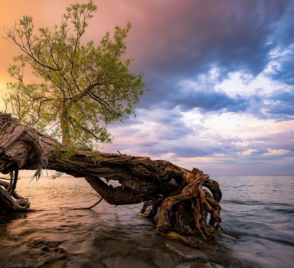 Sandbanks Provincial Park