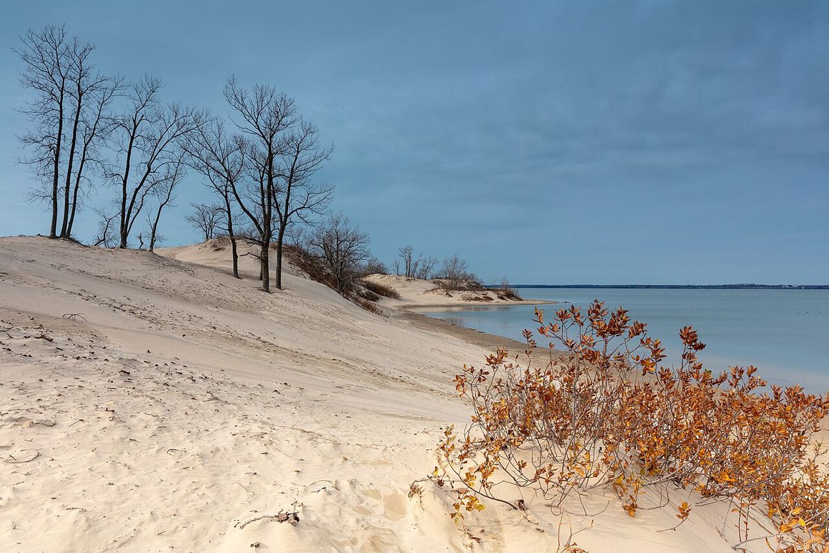View of the Sandbanks in the Fall showing the dunes and foliage before the snow fall.