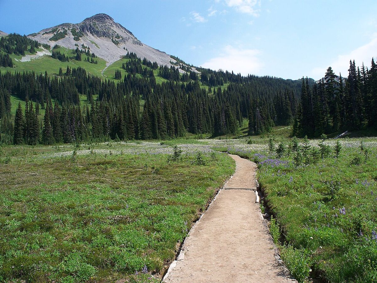 Part of the trail from Garibaldi Lake to Black Tusk.