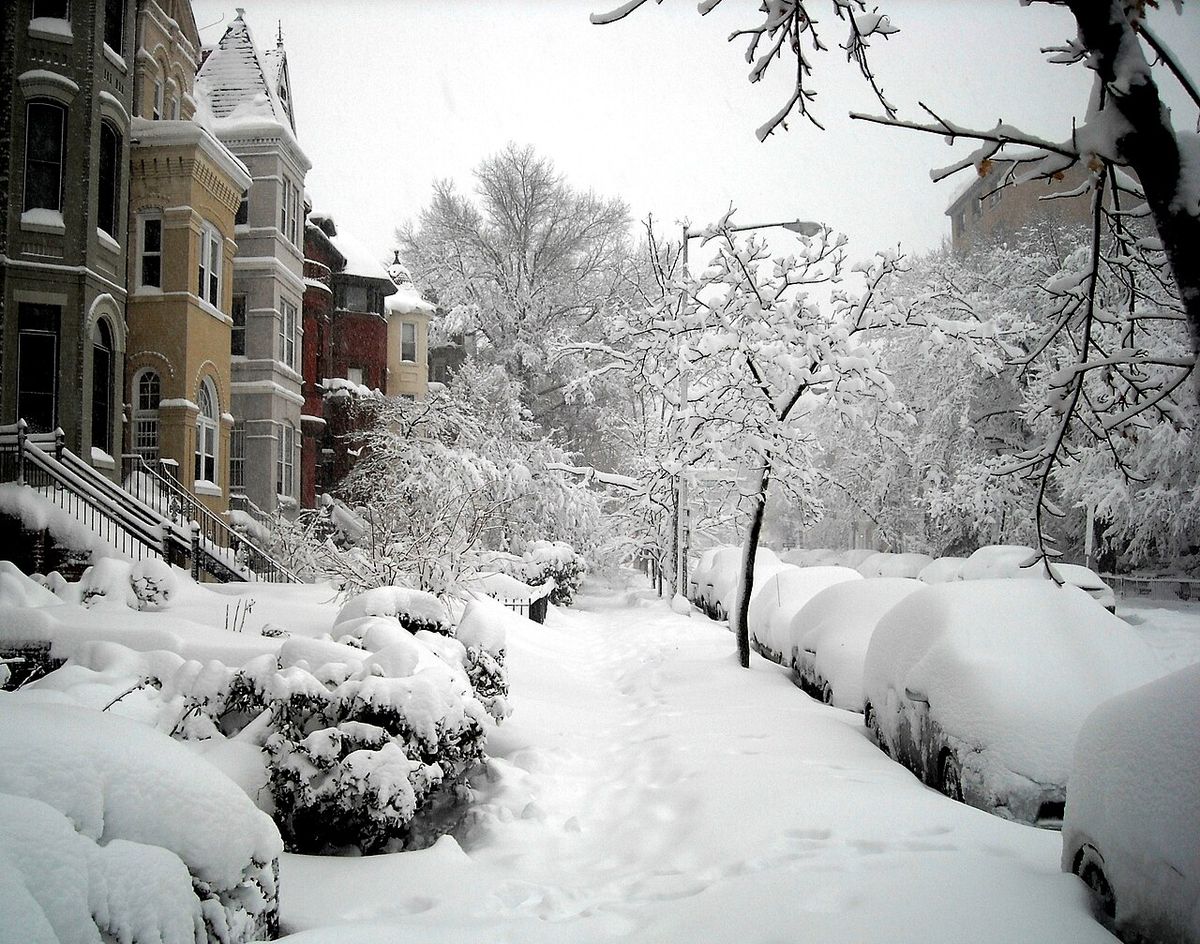Snow falling on the 1600 block of 19th Street, N.W., in the Dupont Circle neighborhood of Washington, D.C., during the North American blizza
