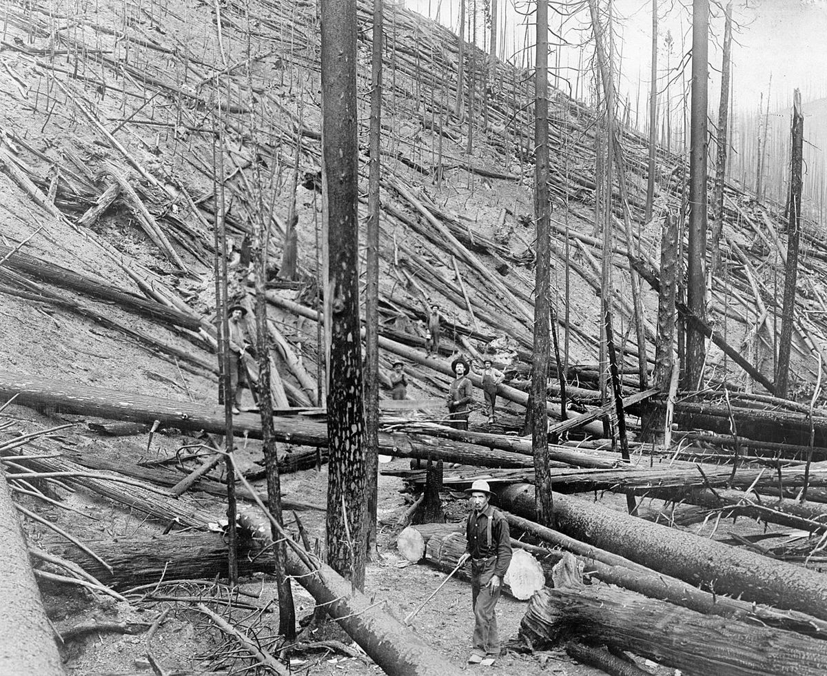 Great Fire of 1910
