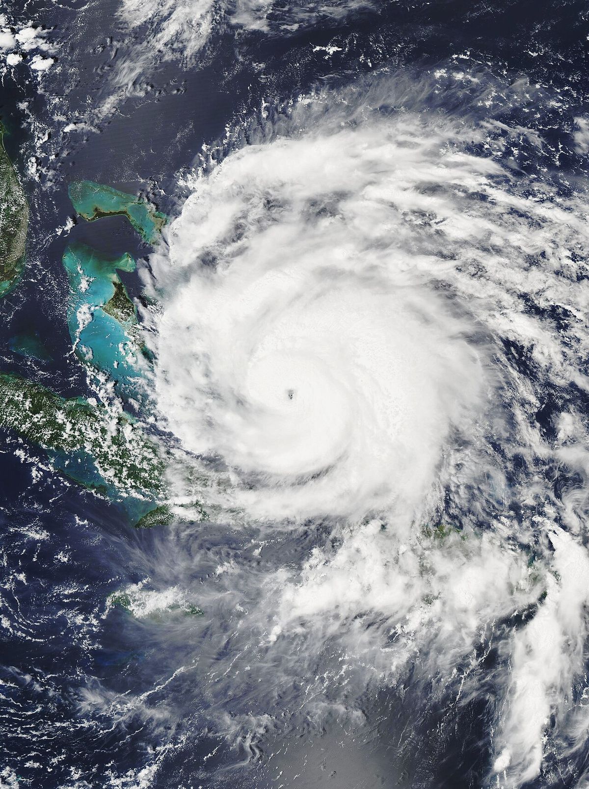 Hurricane Irene
