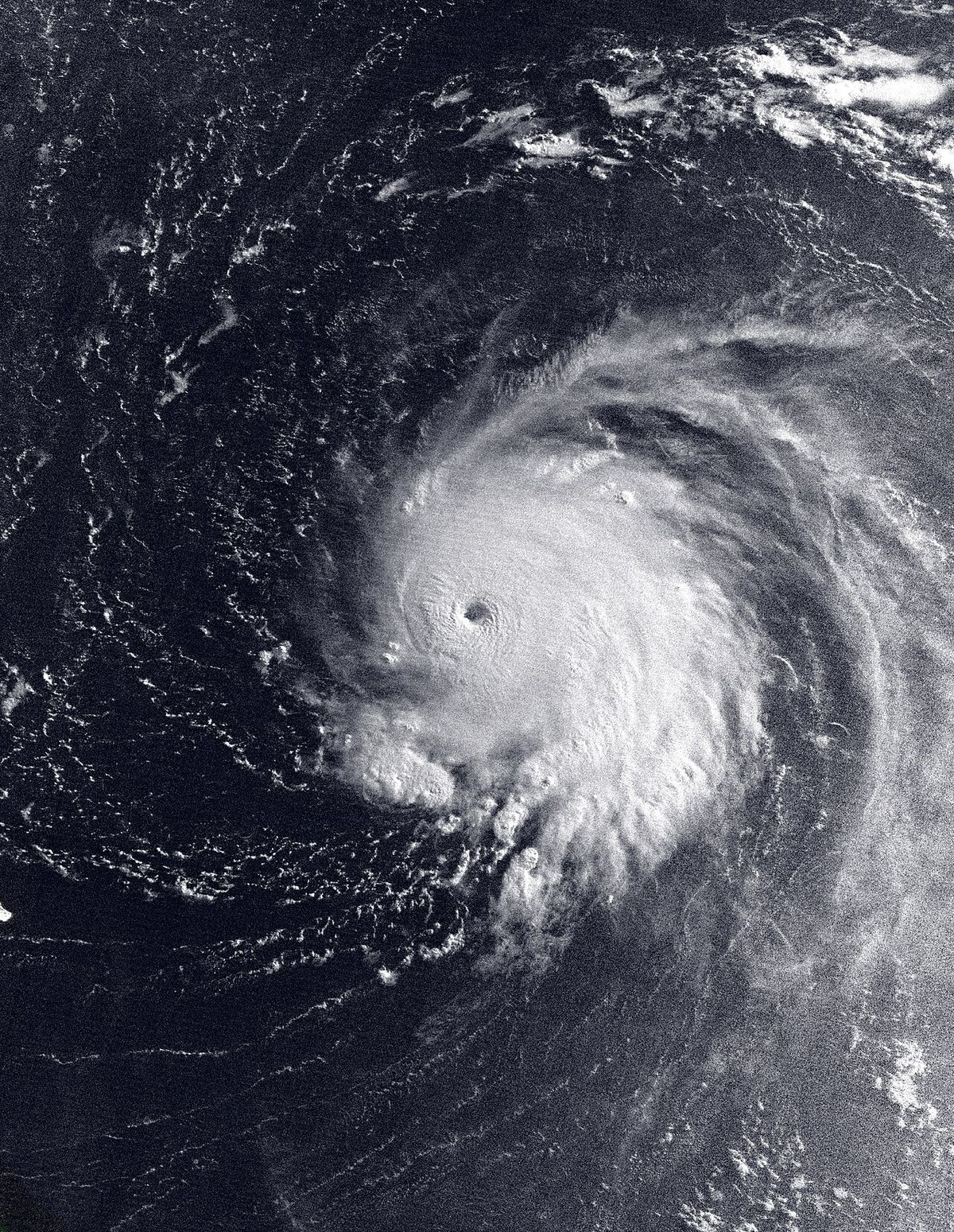 Hurricane Lee (2023)