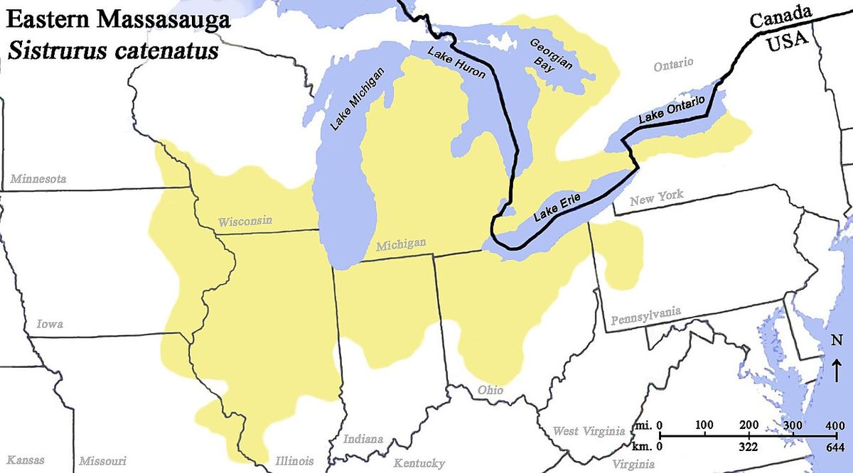 This map illustrates the historical distribution (ca. 1900) of the Eastern Massasauga (Sistrurus catenatus). The species has been extirpated