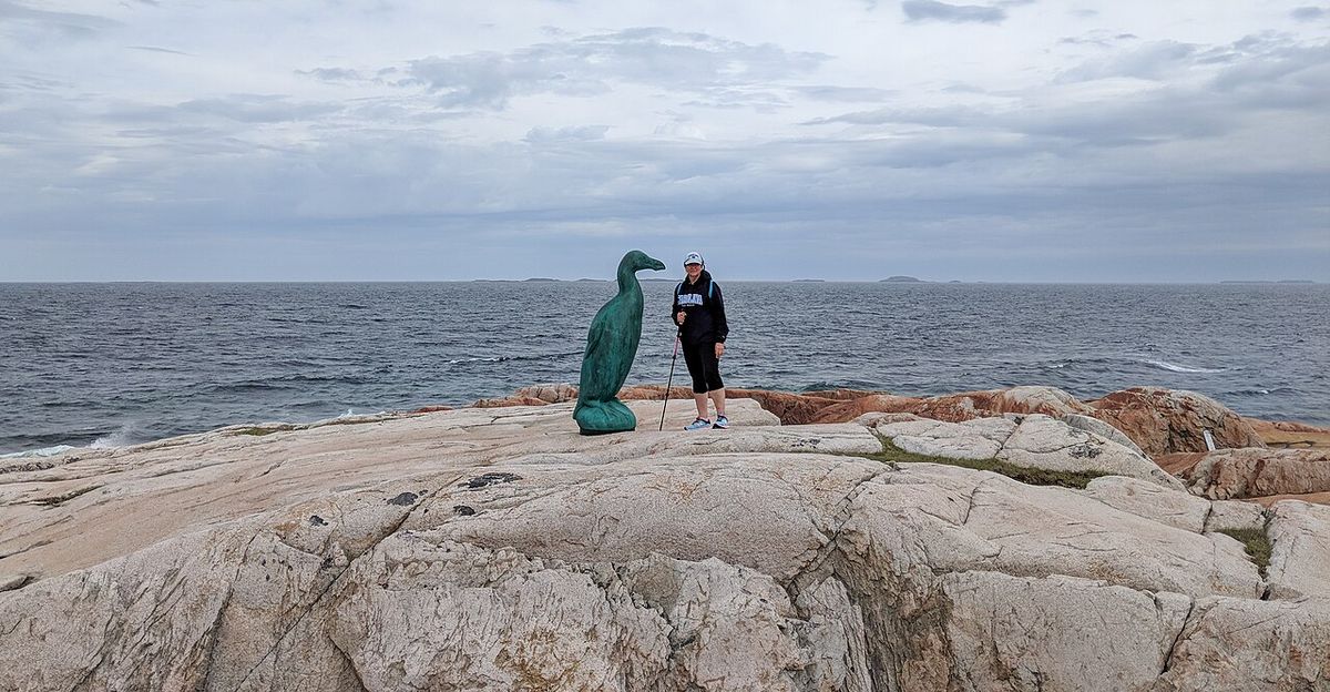 Joe Batt's Arm