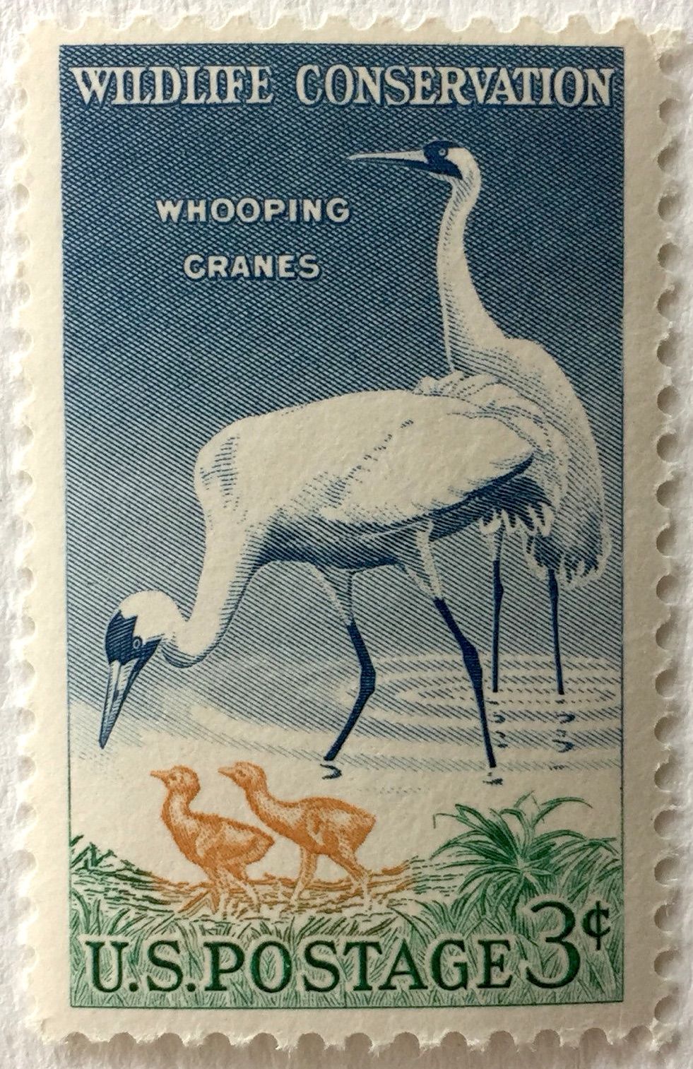 U.S. postage stamp with whooping cranes